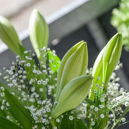 Strandidyll Pier25 N1 Lägenhet